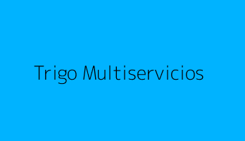 Trigo Multiservicios